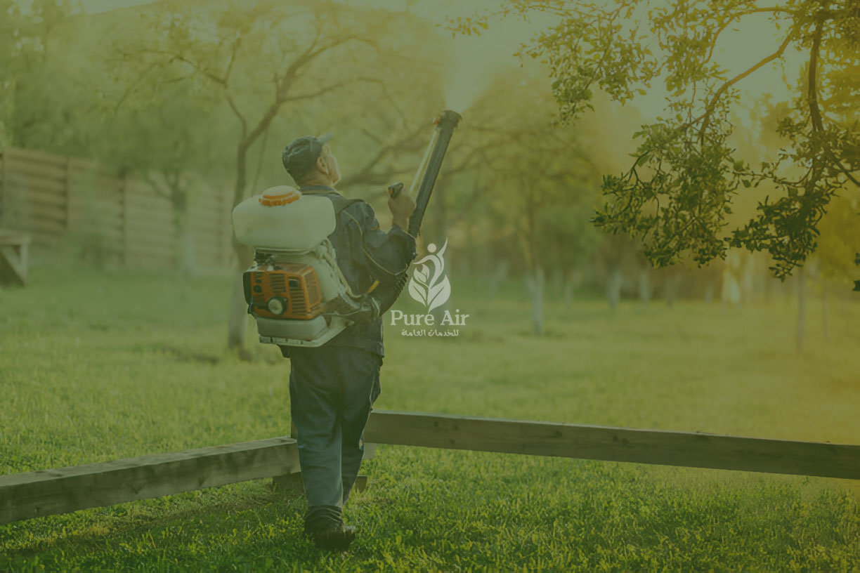 مكافحة الحشرات